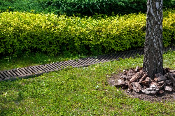 Residential Landscape Drainage in Massillon