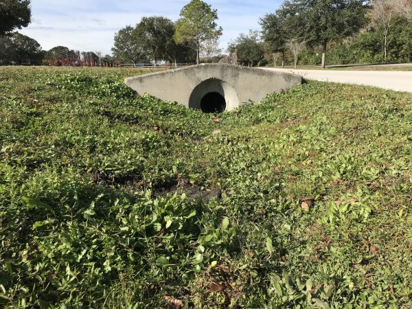 Cost of Swale Drainage Service in Massillon